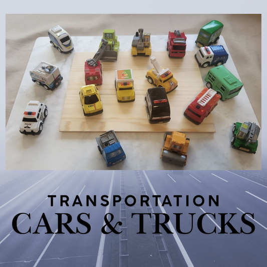 Cars and Truck Vehicle Set